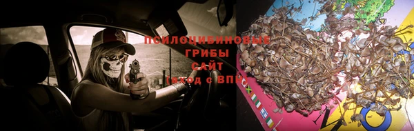 шишки Наволоки