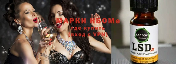 шишки Наволоки