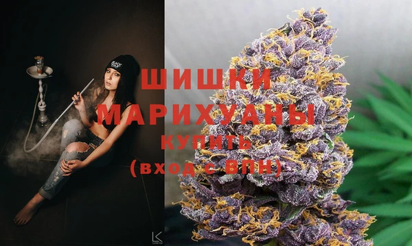 шишки Наволоки