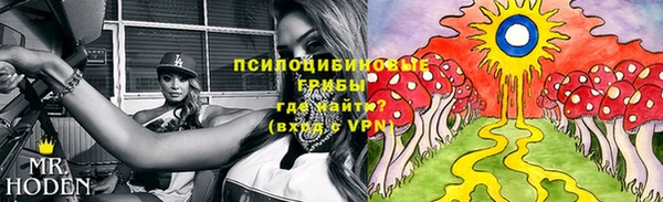 шишки Наволоки