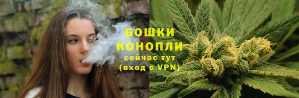 шишки Наволоки